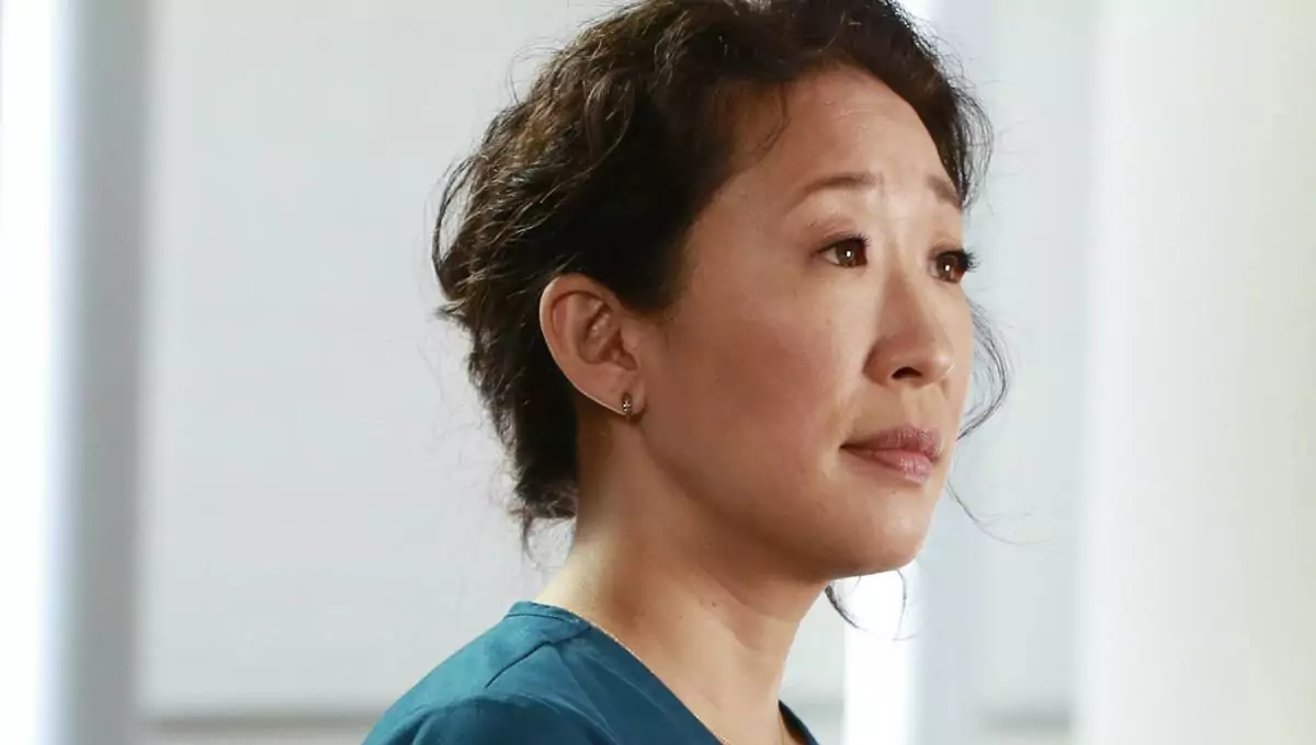 Sandra Oh Grey's Anatomy fardo