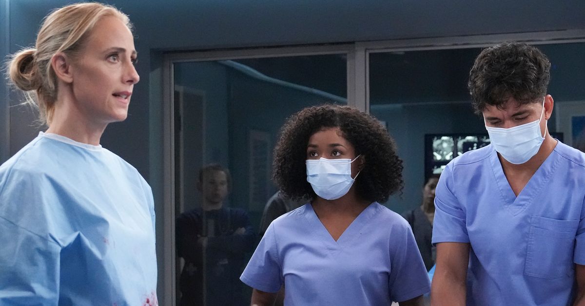 Greys Anatomy Season Finale S19EP19 e 20 teddy