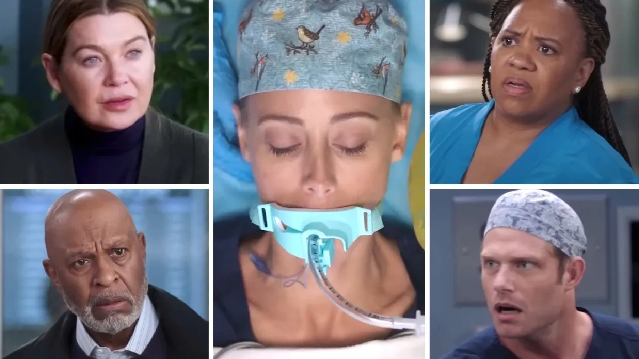 Greys Anatomy 20 temporada