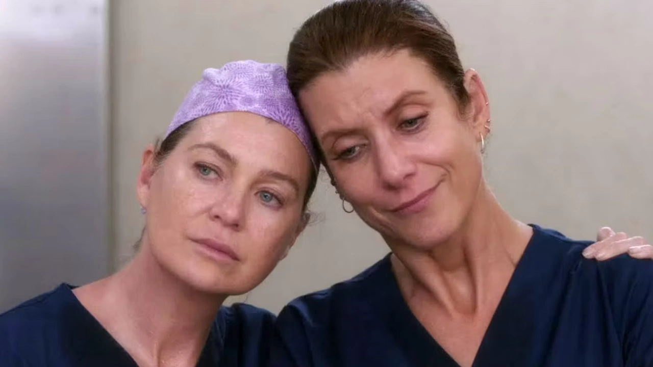 Grey's Anatomy status Kate Walsh Ellen Pompeo