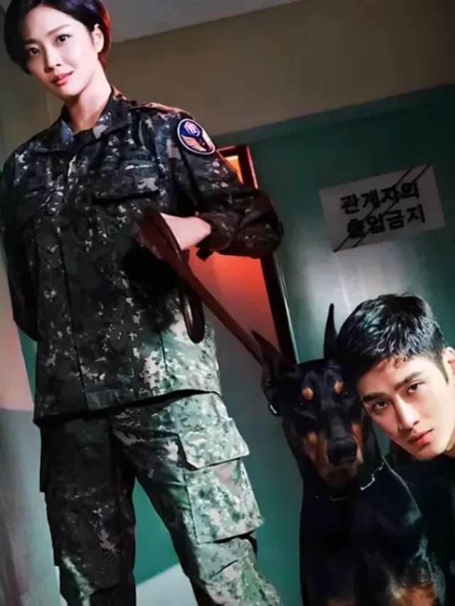 O Promotor Militar Dobermann: k-drama militar na Netflix com atriz de Nosso Destino