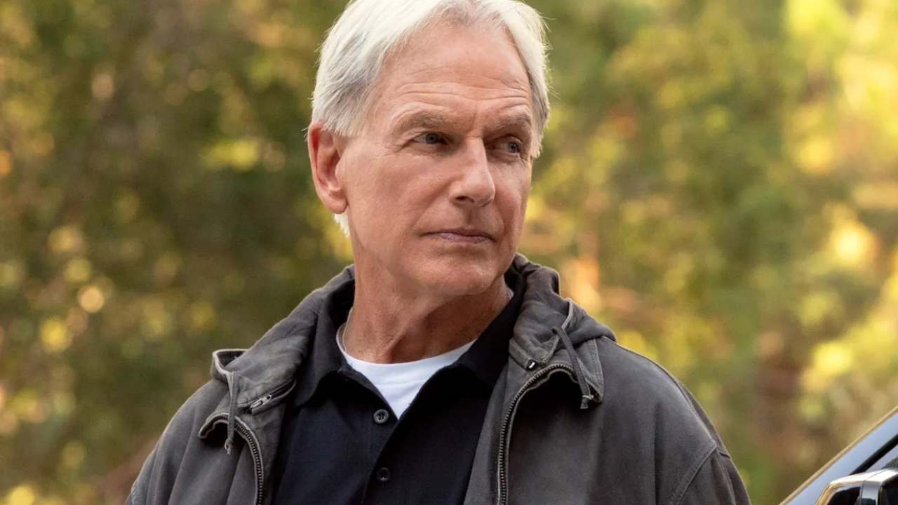 NCIS Origins Mark Harmon