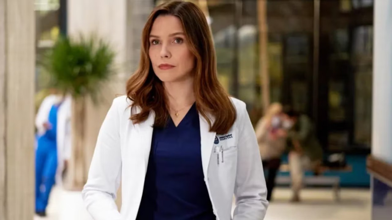 Sophia Bush Grey's Anatomy hospital