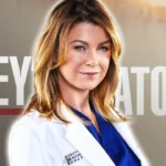 grey's anatomy teoria sinistra